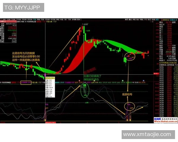 【深度解析】篮球八卦近况+未来走势预测