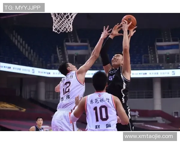 CBA球队战术体系创新及表现评价