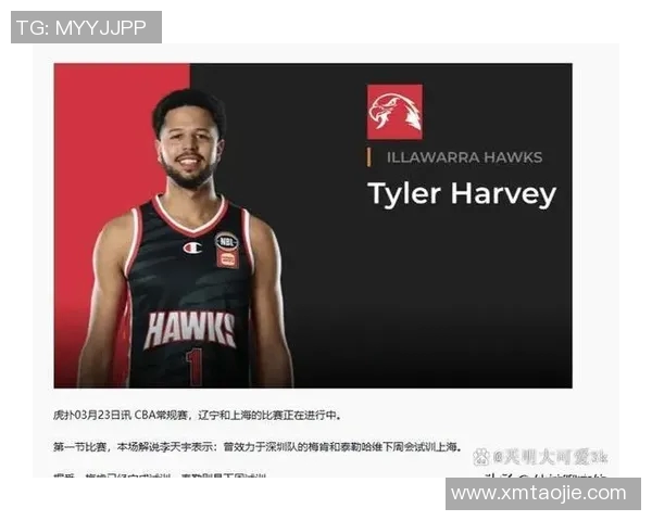 CBA外援表现及对球队战术调整影响