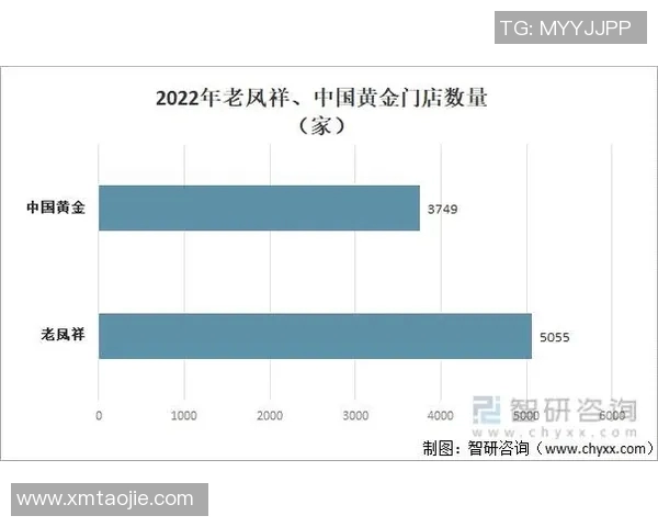 深度解析保罗近期表现与未来发展趋势全面预测