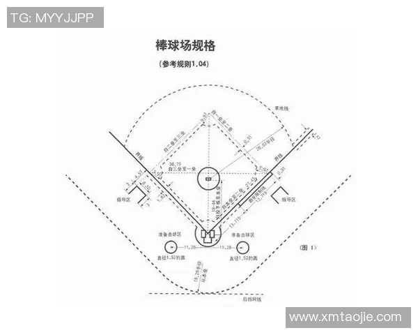 职业棒球击球出手角度与本垒打成功率的数学建模与统计分析